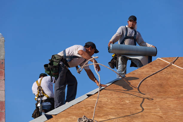 Best Metal Roofing Contractor  in Elma Center, NY