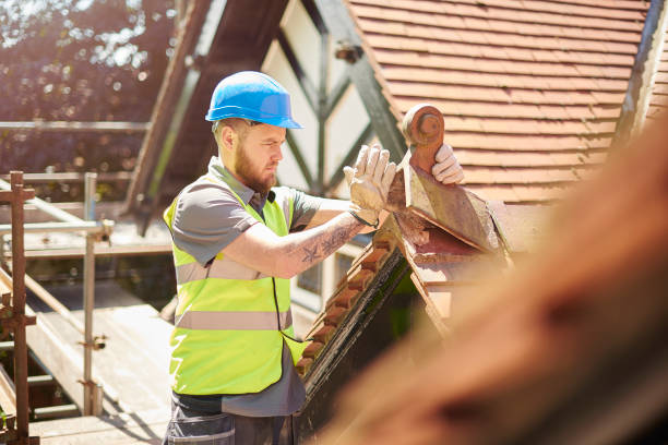 Best Metal Roofing Contractor  in Elma Center, NY